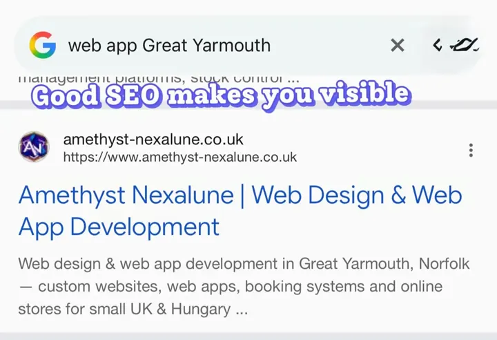 google search results showing a business website and Google Business Profile