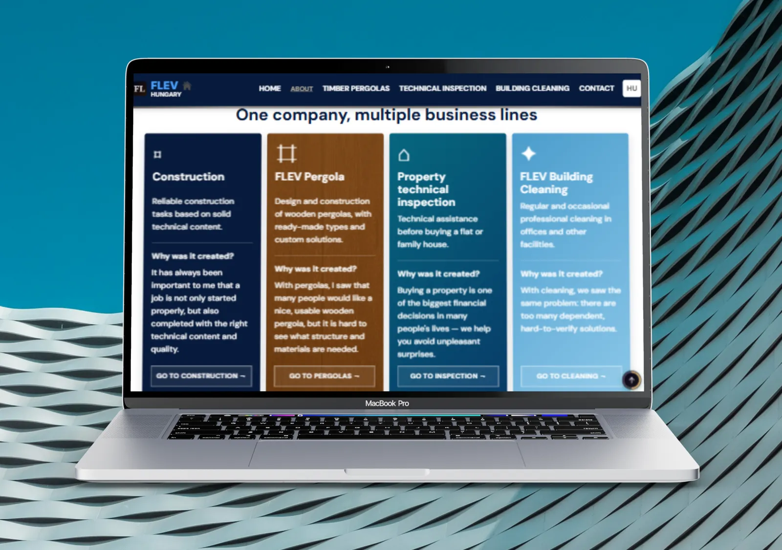 FLEV business lines overview