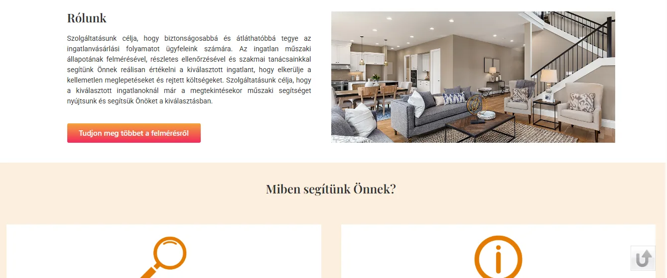 The About section of the old website: a long block of text next to a photo