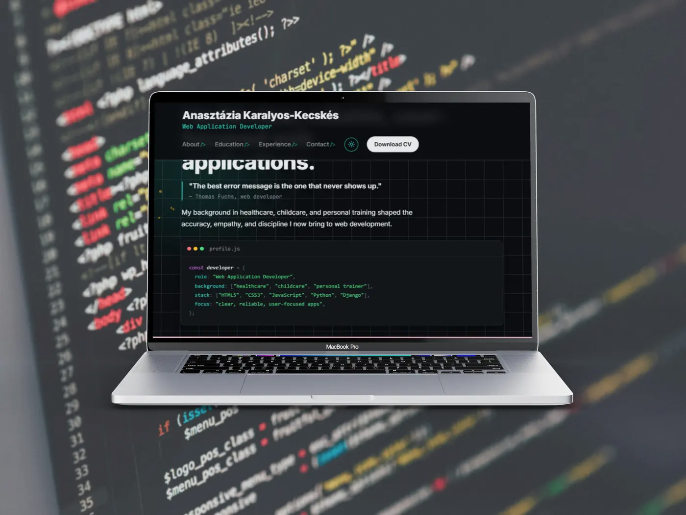 Web development portfolio preview 2