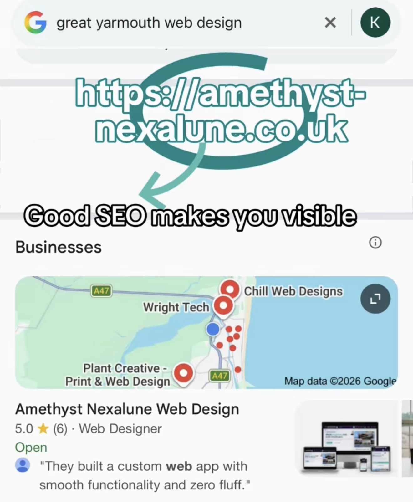 google search results showing a business website and Google Business Profile
